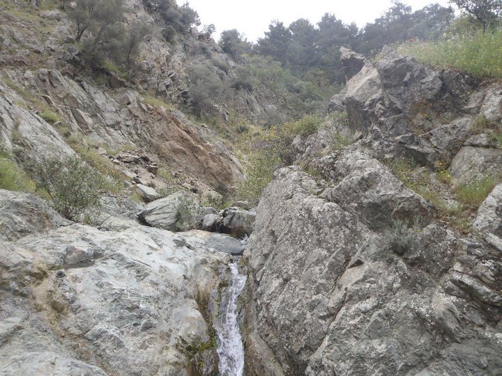 Ali AÃƒÂƒÃ‚Â„ÃƒÂ‚Ã‚ÂŸabeyden 058.jpg