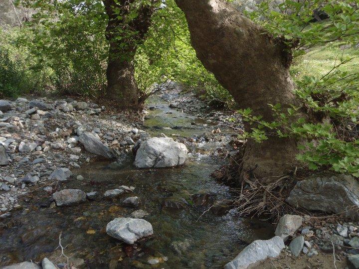 Ali AÃƒÂƒÃ‚Â„ÃƒÂ‚Ã‚ÂŸabeyden 068.JPG