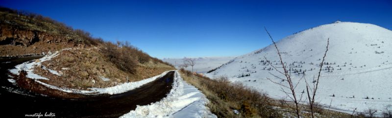 ali daÃƒÂƒÃ‚Â„ÃƒÂ‚Ã‚ÂŸ 1.jpg