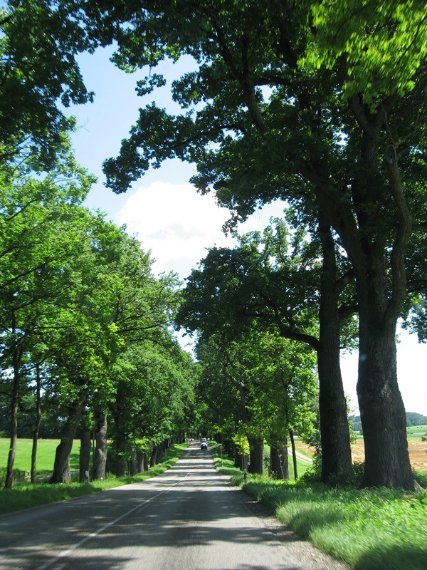 almanya-mÃƒÂƒÃ‚ÂƒÃƒÂ‚Ã‚Â¼nih 025.JPG