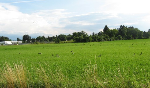 almanya-mÃƒÂƒÃ‚ÂƒÃƒÂ‚Ã‚Â¼nih 081.JPG