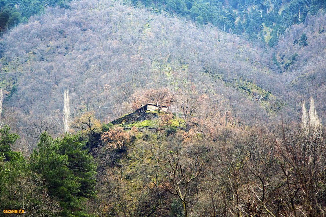 altındere7 copy.jpg