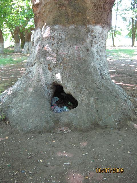 an da doÃƒÂƒÃ‚Â„ÃƒÂ‚Ã‚ÂŸal ÃƒÂƒÃ‚ÂƒÃƒÂ‚Ã‚Â§ÃƒÂƒÃ‚ÂƒÃƒÂ‚Ã‚Â¶p kutusu.jpg