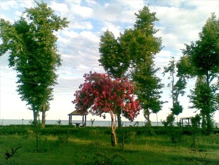 anamur-park.jpg