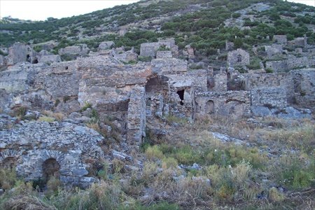 anamurium1.jpg