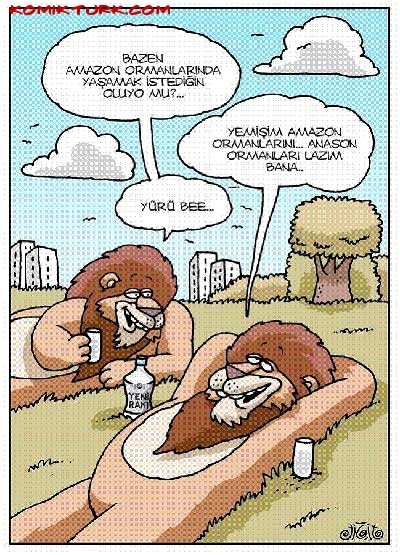 anason-ormanlari.jpg