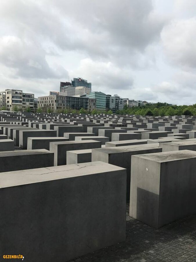 ANIT1.jpg
