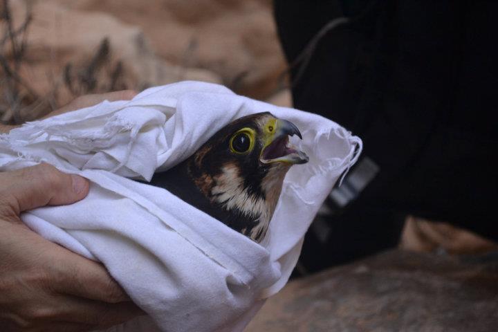 AnsÃƒÂƒÃ‚Â„ÃƒÂ‚Ã‚Â±zca 18 EylÃƒÂƒÃ‚ÂƒÃƒÂ‚Ã‚Â¼l - Nurhak 057.jpg