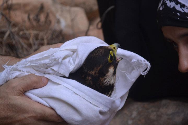 AnsÃƒÂƒÃ‚Â„ÃƒÂ‚Ã‚Â±zca 18 EylÃƒÂƒÃ‚ÂƒÃƒÂ‚Ã‚Â¼l - Nurhak 058.jpg