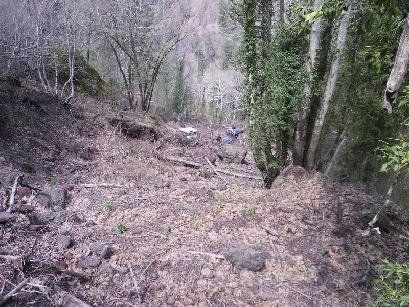 antp037.jpg