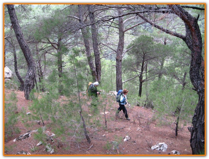 AralÃƒÂƒÃ‚Â„ÃƒÂ‚Ã‚Â±k Fotolar 033.jpg