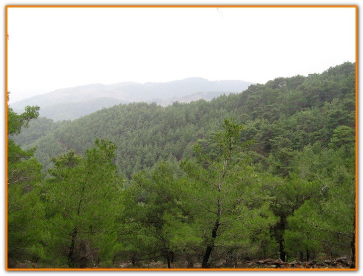 AralÃƒÂƒÃ‚Â„ÃƒÂ‚Ã‚Â±k Fotolar 034.jpg