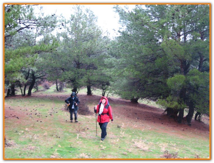 AralÃƒÂƒÃ‚Â„ÃƒÂ‚Ã‚Â±k Fotolar 043.jpg