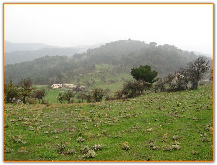 AralÃƒÂƒÃ‚Â„ÃƒÂ‚Ã‚Â±k Fotolar 046.jpg