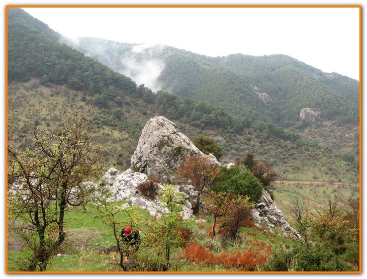 AralÃƒÂƒÃ‚Â„ÃƒÂ‚Ã‚Â±k Fotolar 052.jpg