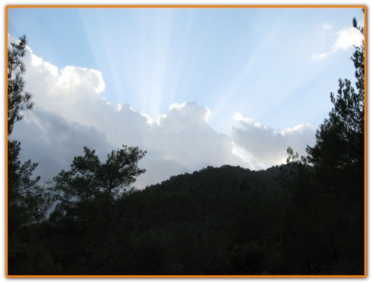 AralÃƒÂƒÃ‚Â„ÃƒÂ‚Ã‚Â±k Fotolar 062.jpg