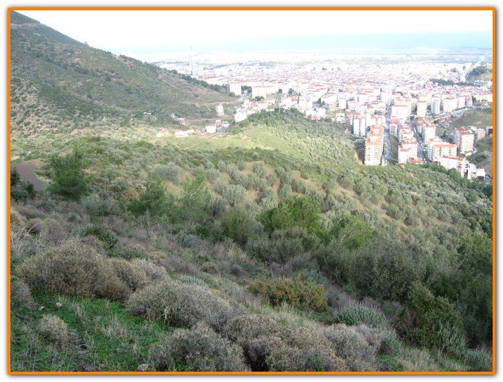 AralÃƒÂƒÃ‚Â„ÃƒÂ‚Ã‚Â±k Fotolar 205.jpg