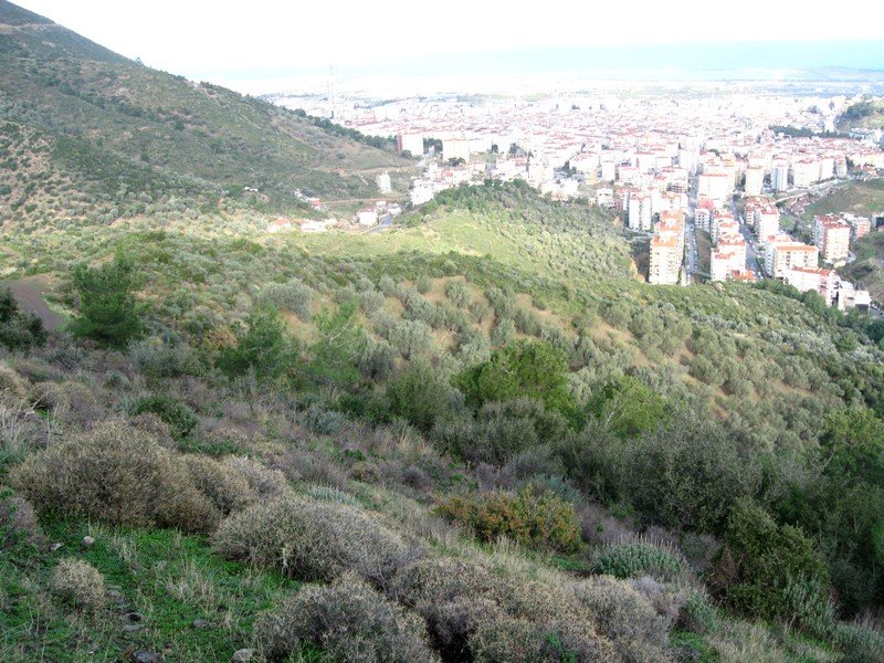 AralÃƒÂƒÃ‚Â„ÃƒÂ‚Ã‚Â±k Fotolar 205.jpg