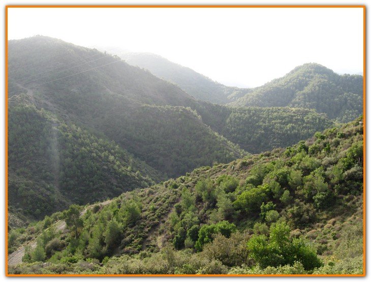 AralÃƒÂƒÃ‚Â„ÃƒÂ‚Ã‚Â±k Fotolar 208.jpg