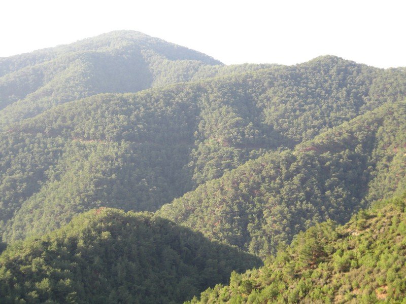 AralÃƒÂƒÃ‚Â„ÃƒÂ‚Ã‚Â±k Fotolar 209.jpg