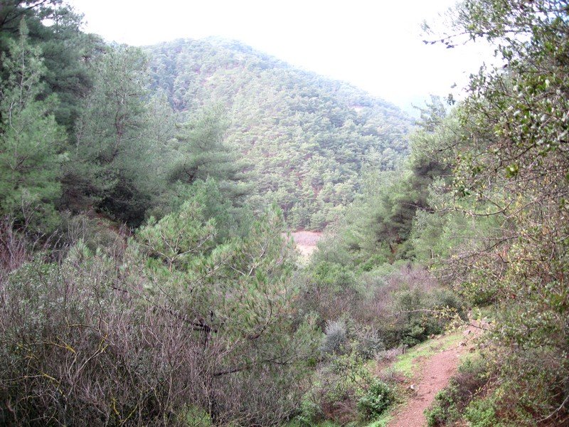 AralÃƒÂƒÃ‚Â„ÃƒÂ‚Ã‚Â±k Fotolar 210.jpg