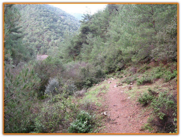 AralÃƒÂƒÃ‚Â„ÃƒÂ‚Ã‚Â±k Fotolar 211.jpg