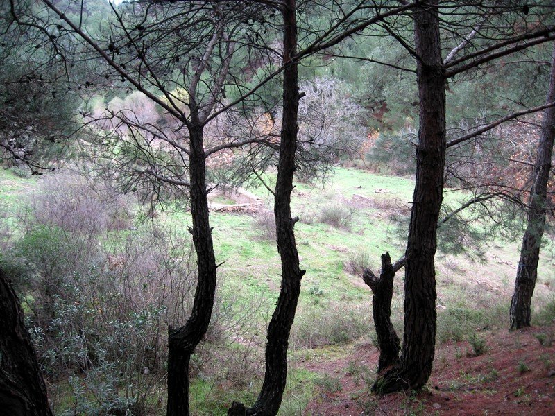 AralÃƒÂƒÃ‚Â„ÃƒÂ‚Ã‚Â±k Fotolar 212.jpg