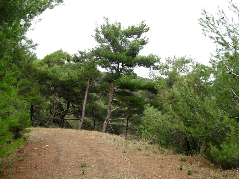 AralÃƒÂƒÃ‚Â„ÃƒÂ‚Ã‚Â±k Fotolar 216.jpg