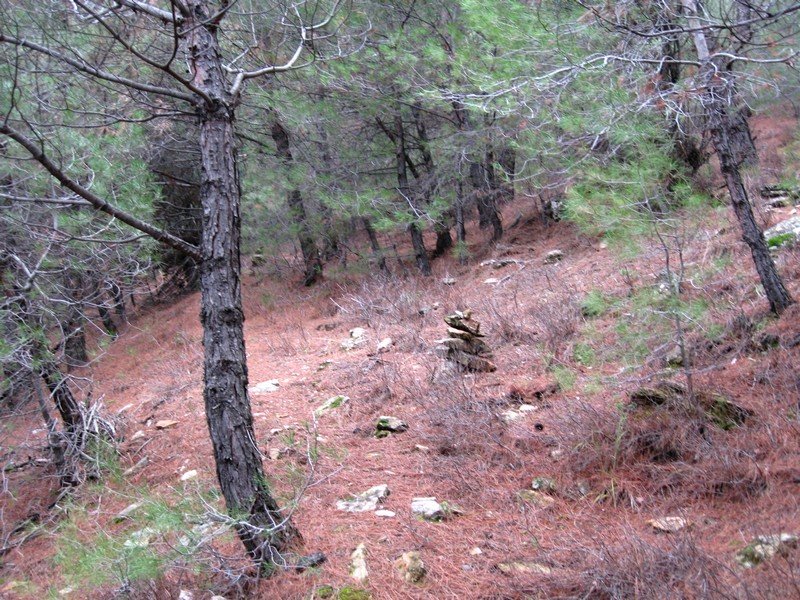 AralÃƒÂƒÃ‚Â„ÃƒÂ‚Ã‚Â±k Fotolar 219.jpg