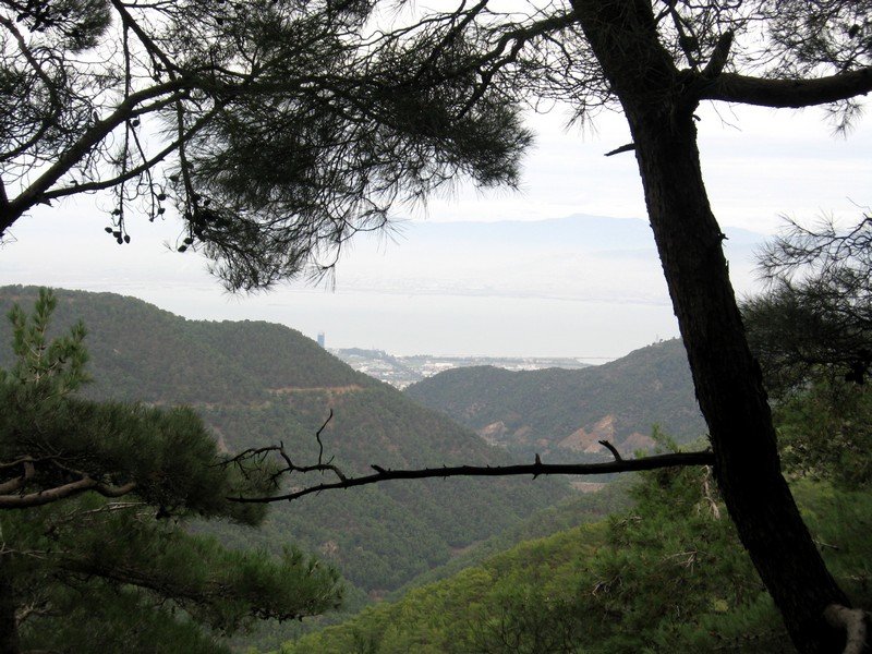 AralÃƒÂƒÃ‚Â„ÃƒÂ‚Ã‚Â±k Fotolar 225.jpg