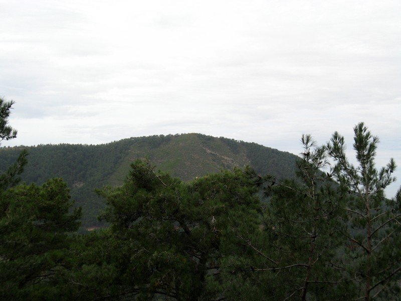 AralÃƒÂƒÃ‚Â„ÃƒÂ‚Ã‚Â±k Fotolar 226.jpg