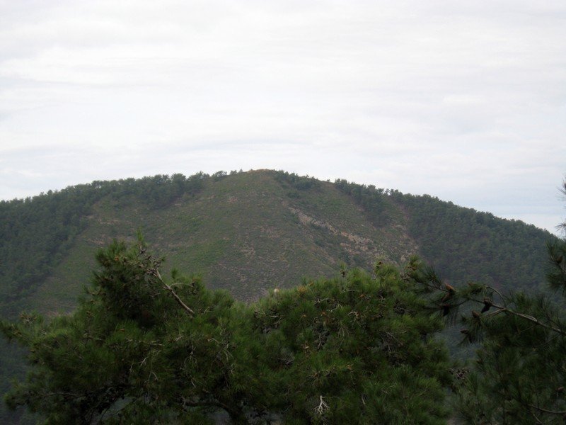 AralÃƒÂƒÃ‚Â„ÃƒÂ‚Ã‚Â±k Fotolar 227.jpg