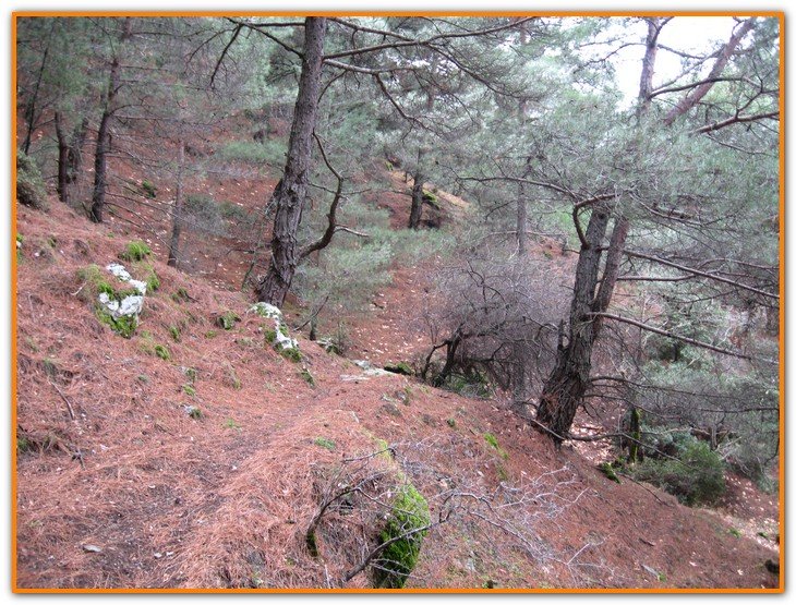 AralÃƒÂƒÃ‚Â„ÃƒÂ‚Ã‚Â±k Fotolar 228.jpg