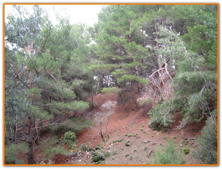 AralÃƒÂƒÃ‚Â„ÃƒÂ‚Ã‚Â±k Fotolar 229.jpg