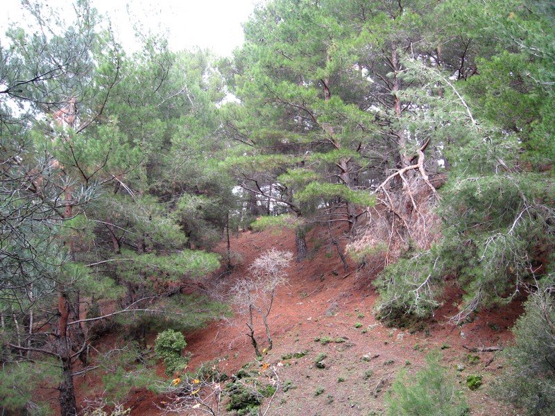 AralÃƒÂƒÃ‚Â„ÃƒÂ‚Ã‚Â±k Fotolar 229.jpg