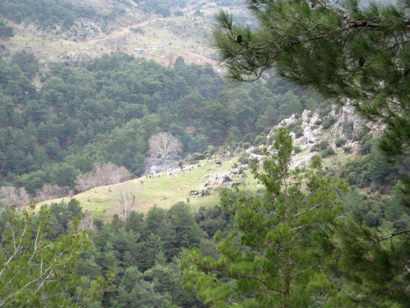 AralÃƒÂƒÃ‚Â„ÃƒÂ‚Ã‚Â±k Fotolar 242.jpg