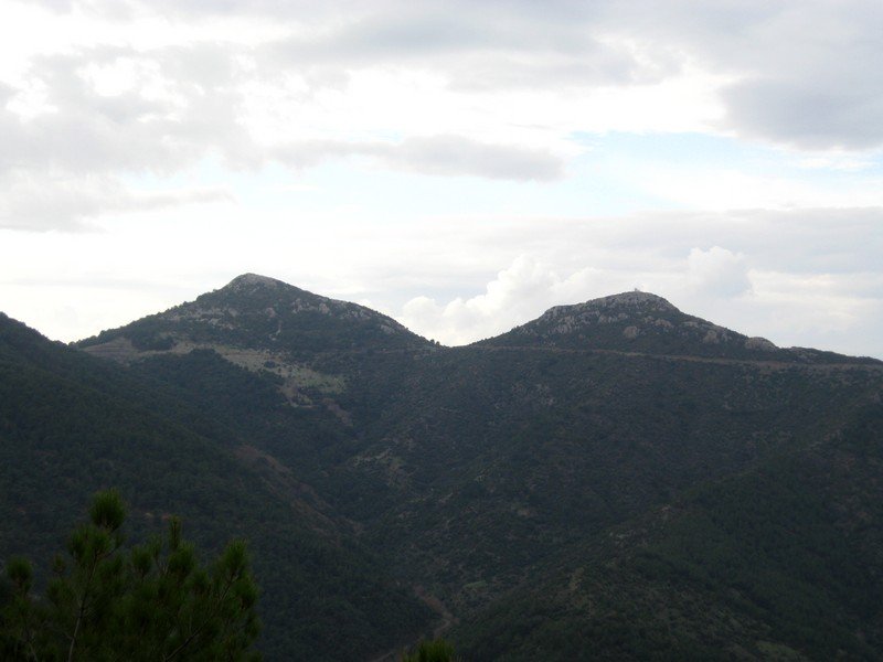 AralÃƒÂƒÃ‚Â„ÃƒÂ‚Ã‚Â±k Fotolar 247.jpg