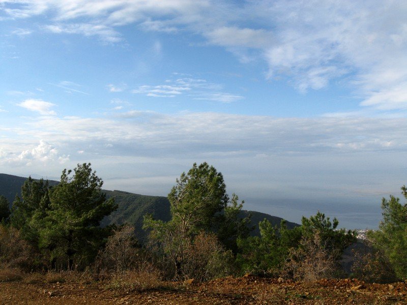 AralÃƒÂƒÃ‚Â„ÃƒÂ‚Ã‚Â±k Fotolar 258.jpg