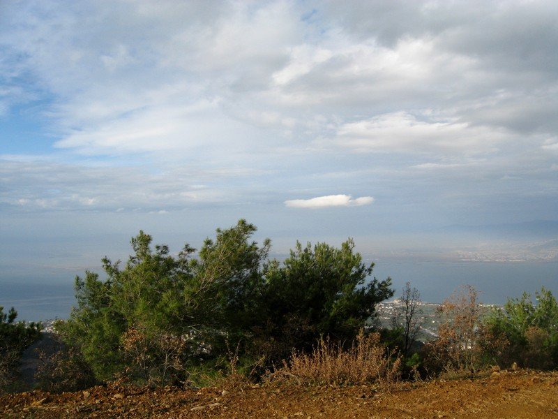 AralÃƒÂƒÃ‚Â„ÃƒÂ‚Ã‚Â±k Fotolar 259.jpg
