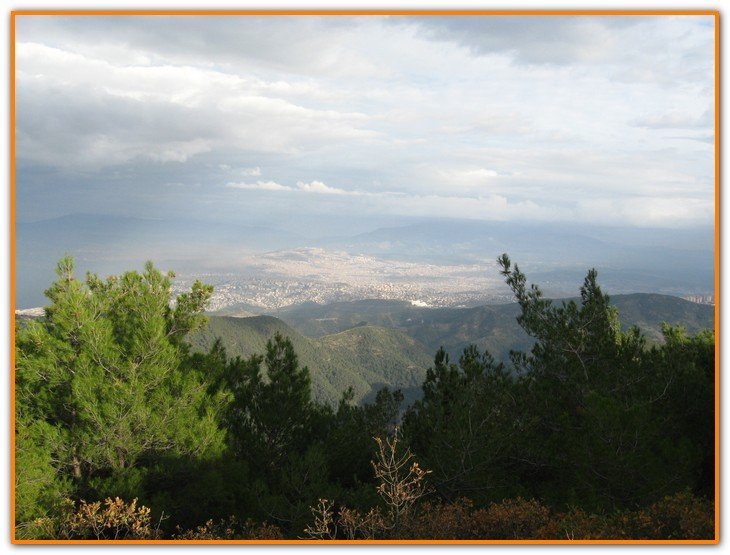 AralÃƒÂƒÃ‚Â„ÃƒÂ‚Ã‚Â±k Fotolar 267.jpg