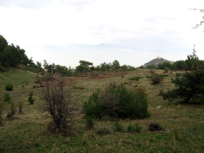 AralÃƒÂƒÃ‚Â„ÃƒÂ‚Ã‚Â±k Fotolar 273.jpg
