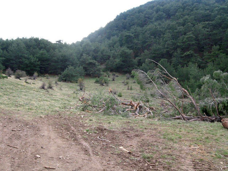 AralÃƒÂƒÃ‚Â„ÃƒÂ‚Ã‚Â±k Fotolar 275.jpg