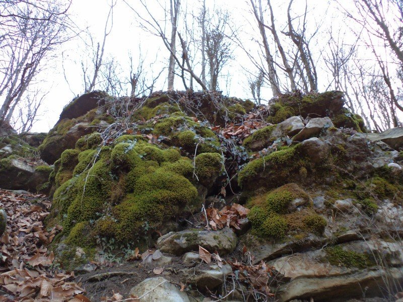 ARALIK 18.2011GÃƒÂƒÃ‚ÂƒÃƒÂ‚Ã‚ÂœMÃƒÂƒÃ‚ÂƒÃƒÂ‚Ã‚ÂœÃƒÂƒÃ‚Â…ÃƒÂ‚Ã‚ÂžOLUK (68) [1600x1200] [800x600].JPG