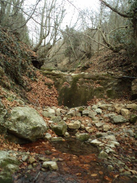 ARALIK 18.2011GÜMÜ?OLUK (261) [1600x1200] [800x600].JPG