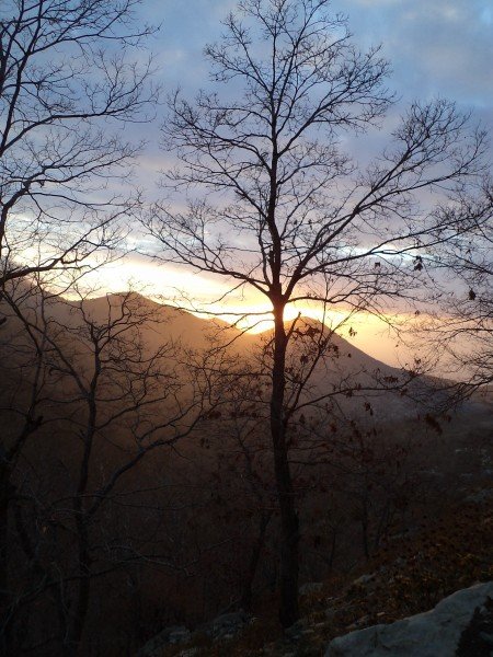 ARALIK 18.2011GÜMÜ?OLUK (326) [1600x1200] [800x600].JPG