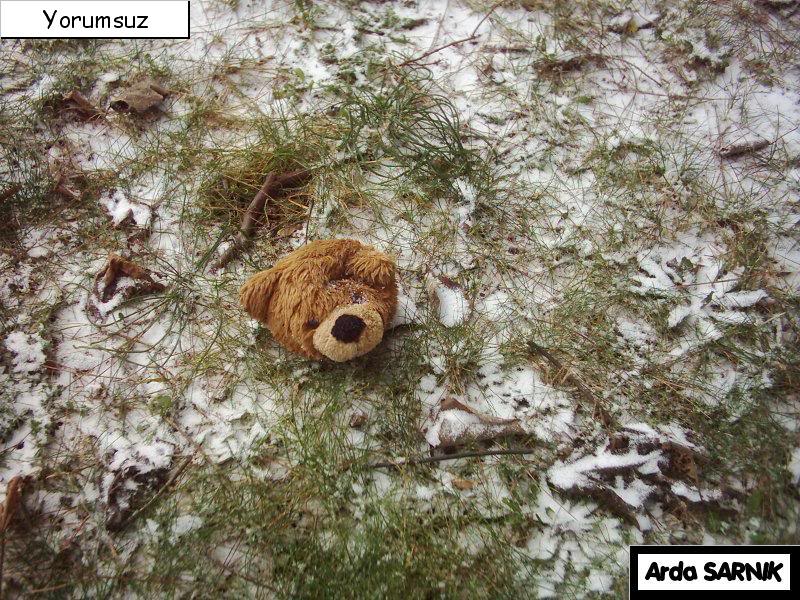 ArdaSARNIKDogaveKisMevsimi06.jpg