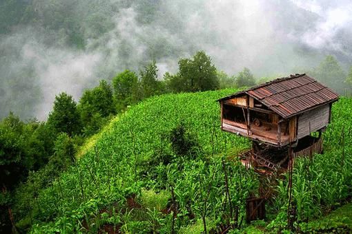 artvin.jpg