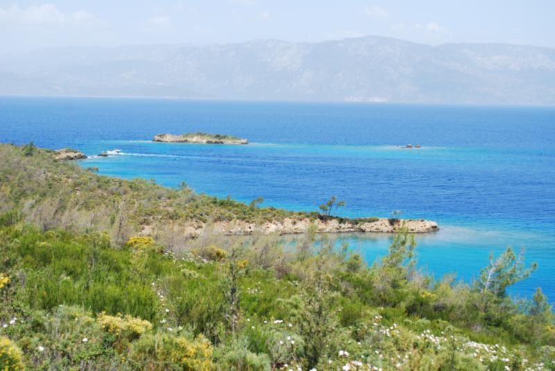 av saham._800x536.jpg