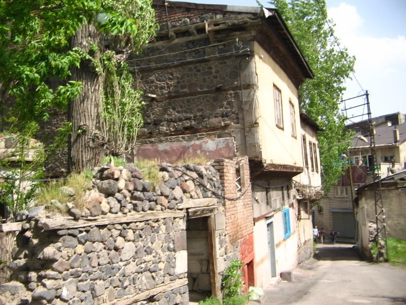 aya13084.jpg