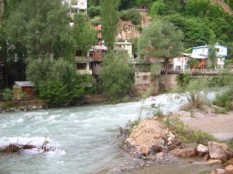 aya13098.jpg